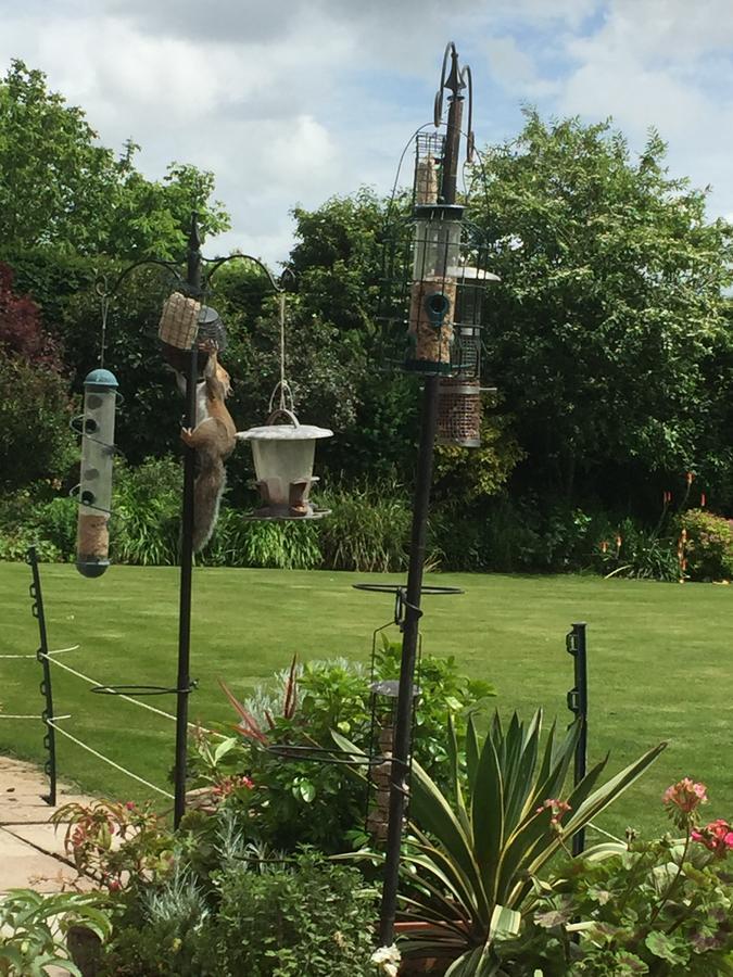Castle Farmhouse Bed And Breakfast Glenfield Exteriör bild